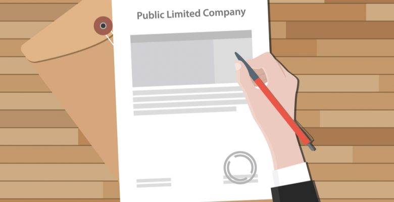 Public Limited Company